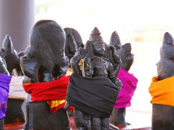 6. વૈરાગ્ય
