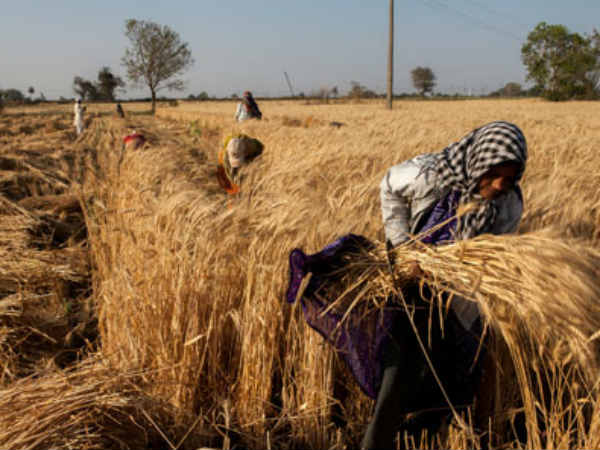 આ રાજ્યોએ મારી બાજી