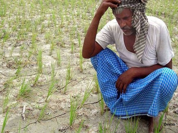 ખેડૂતે 2000 રૂપિયા પરત કર્યા