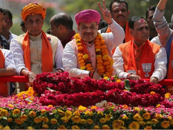 હાથી જેવી યાદશક્તિ