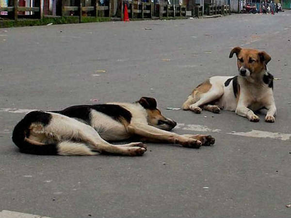 ગયા વર્ષે દંડ થયો હતો હજુ સુધી ભર્યો નથી