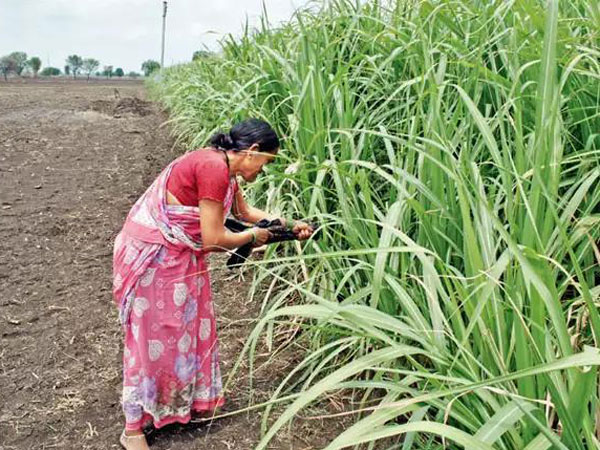 જેથી રજા ન લેવી પડે
