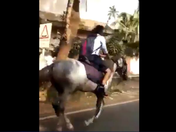 આ ખાસ કારણથી ઘોડા પર સ્કૂલે ગઈ છાત્રા