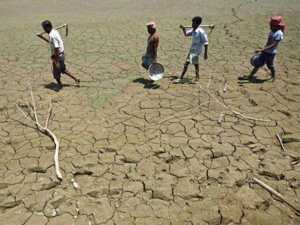 કેલિફોર્નિયામાં દુષ્કાળની અસર