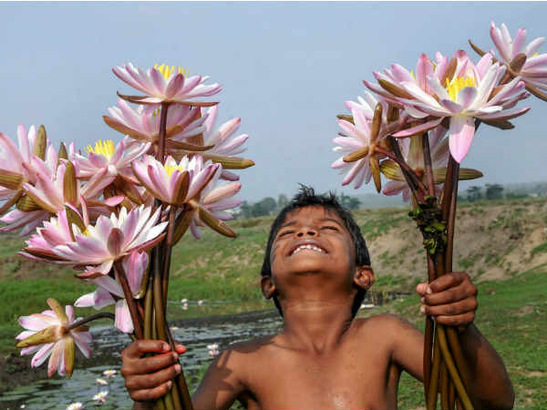 બંગ્લોરની 4માંથી 3 બેઠકો પર જીત