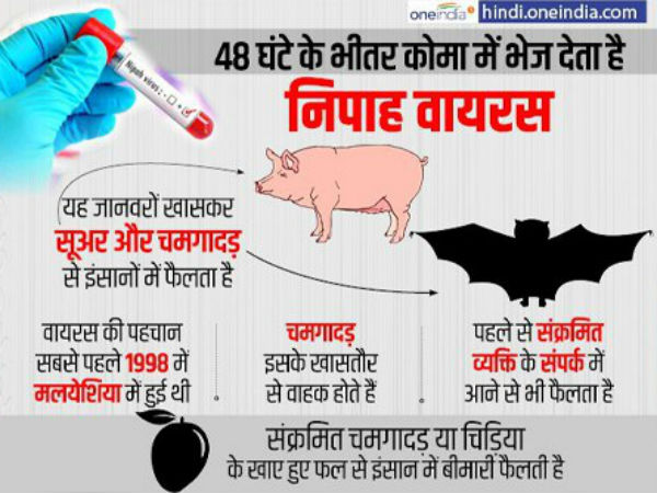 કેરળમાં નિપાહ વાયરસ અંગે પુષ્ટિ થઇ