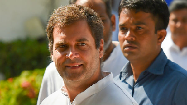 કોંગ્રેસના આદર્શ રાહુલ ગાંધી