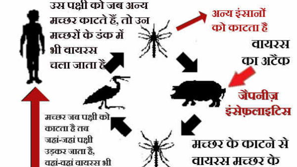 લક્ષણ