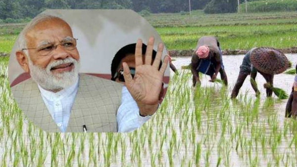 કેસીસી દ્વારા લોન લેવા પર લાગશે માત્ર 4 ટકા વ્યાજ