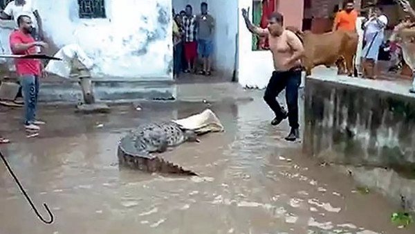 લોકો તેમના ઘરની બહાર નીકળવામાં ડરી રહ્યા છે