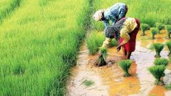 દર મહિને આપવાના રહેશે 100 રૂપિયા