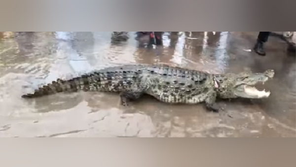 મોં ને દોરડાથી બાંધ્યું