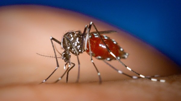 અહીં, 25 વર્ષની મહિલાનું મોત
