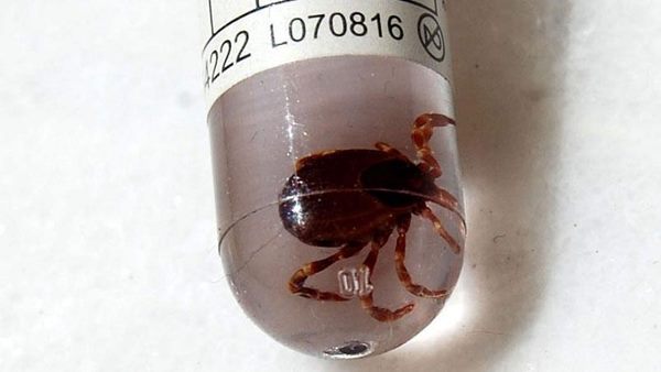 15 વર્ષના છોકરામાં મળ્યા લક્ષણ