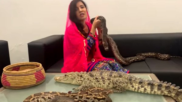 ઝેરીલા સાપો સાથે રમી રહી છે