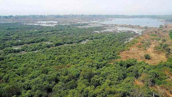 રૂટ માટે કુલ 1,380 હેક્ટર જમીન અધિગ્રહણ થશે
