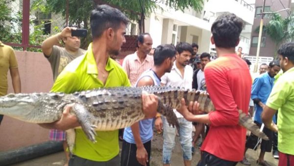 લોકો તેમના ઘરની બહાર નીકળવામાં ડરતા હતા