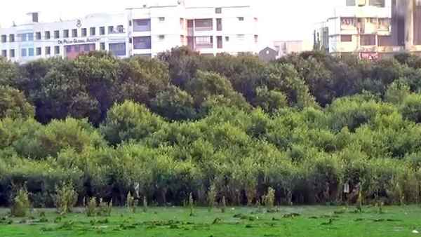 કયા જિલ્લામાંથી કેટલું જમીન અધિગ્રહણ થશે