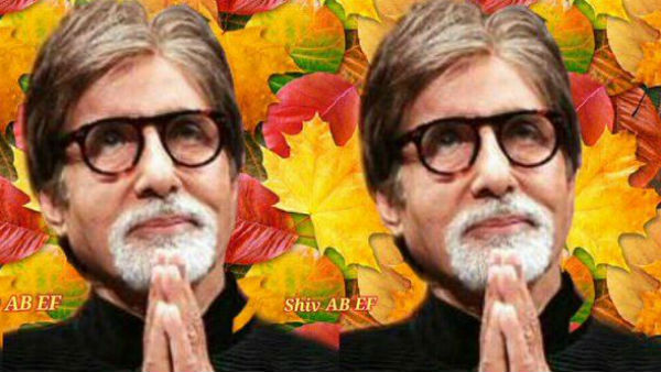 બચ્ચનને યાદ આવ્યા બાબુજી