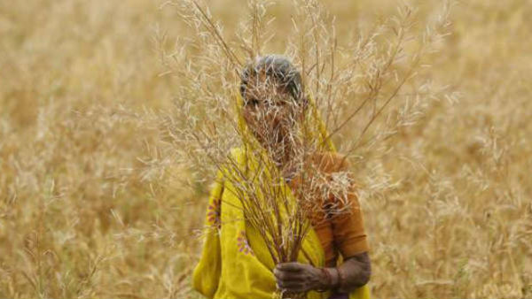 આ છે રજીસ્ટ્રેશનની રીત