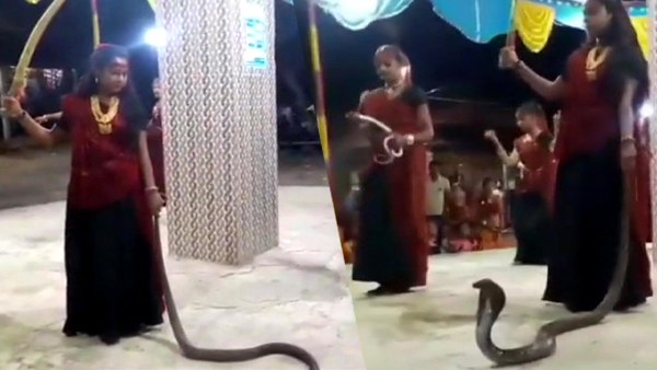 છોકરીઓનો સાપ સાથે ગરબાનો વીડિયો