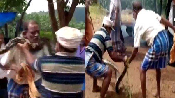 સ્થાનીય લોકોએ અજગરને ગળાથી કાઢ્યો