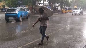 વરસાદના હાલ બેહાલ