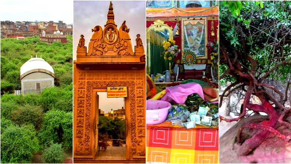 રાત થતા પહેલા જ લોકો વન છોડી દે છે
