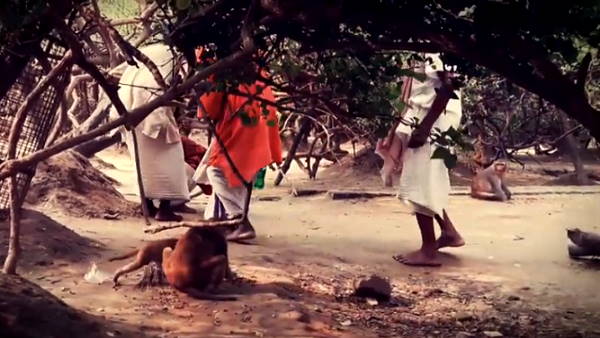 છુપાઈને જોવી હતી રાસલીલા, થઈ ગયો પાગલ