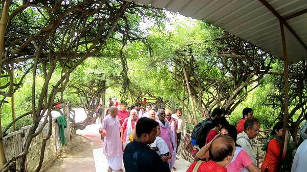 લોટાનું પાણી ખાલી અને પાન ચવાયેલું મળે છે