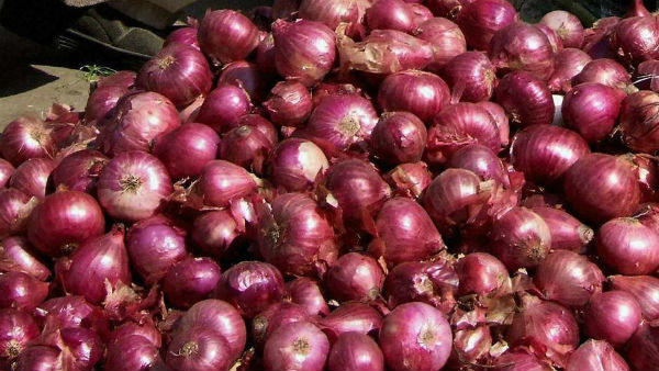 સરકારે આ આદેશ આપ્યો