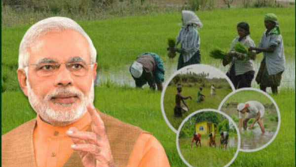 શું છે શરત?