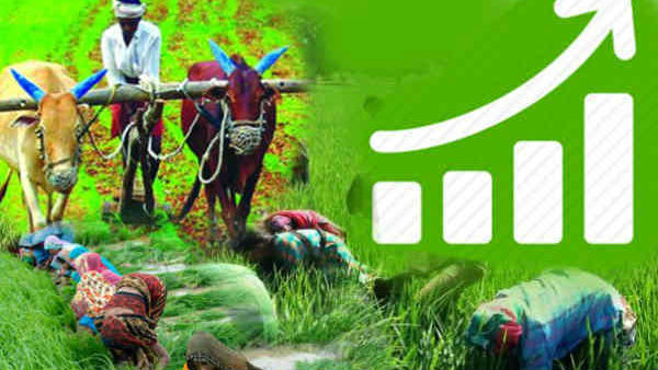 પીએમ કિસાન યોજના અંગે અહીં કરો ફરિયાદ