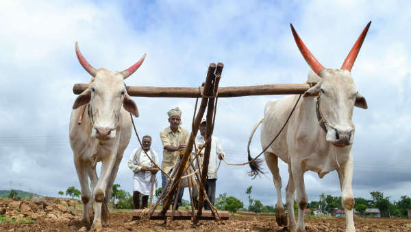 પીએમ કિસાન યોજના