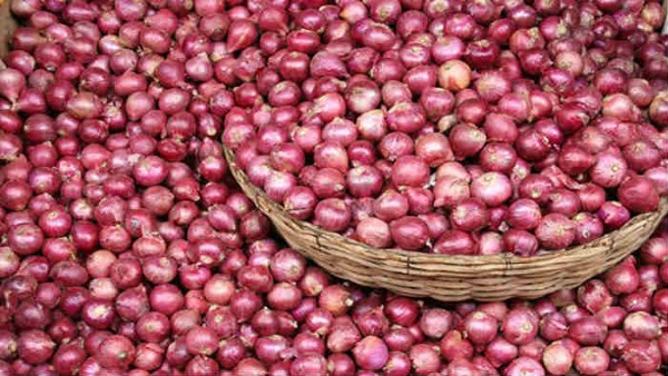 ભારે વરસાદને પગલે નુકસાન થયું