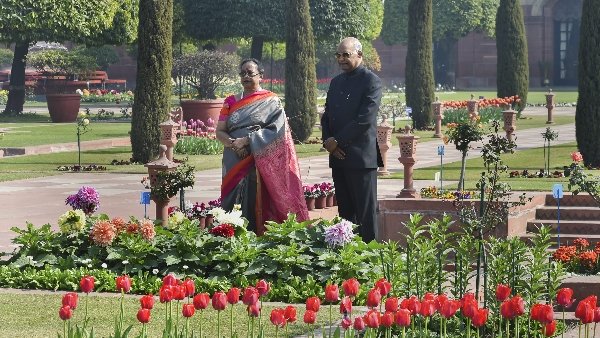 ગેટ નંબર 35થી મુલાકાતીઓને મળશે પ્રવેશ