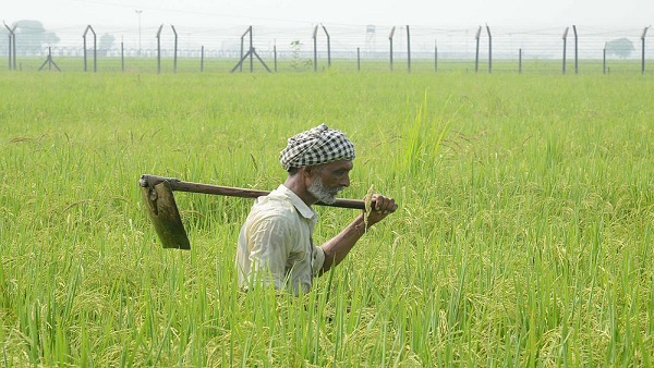 અમદાવાદમાં 14 કોરોનાના કેસ