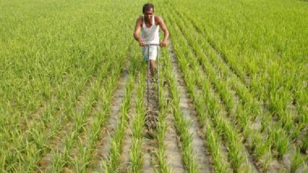 14 લોકો સામે એફઆઇઆર