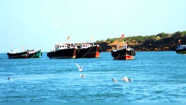ભોજન, દવાઓની વ્યવસ્થા દ્વારકા પ્રશાસન કરી રહ્યુ