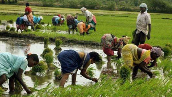 ખરીફ અને રવી પાકમાં અંતર