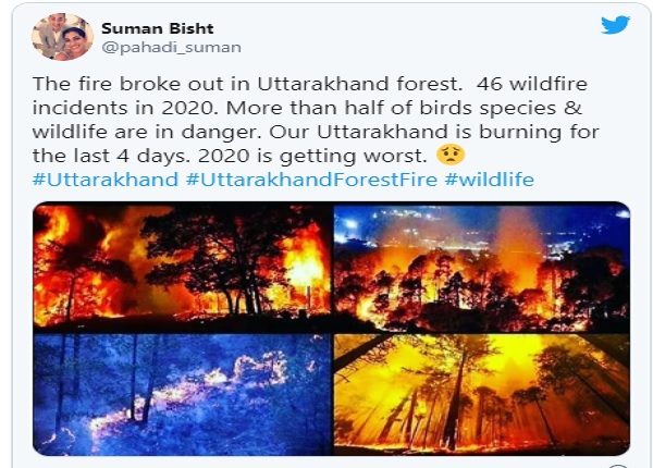 વરસાદે રાહત આપી