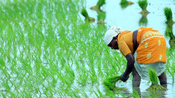 14 દિવસમાં બનશે કાર્ડ