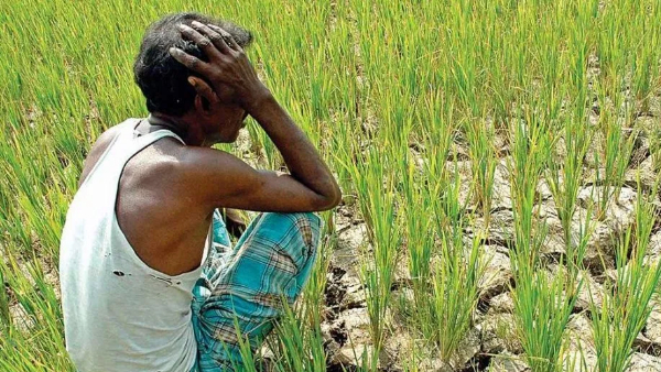 31 જુલાઈ સુધી બેંકને જાણકારી આપવાની રહેશે