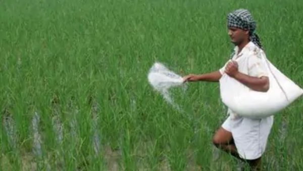 આ દસ્તાવેજ જમા કરાવવા પડશે