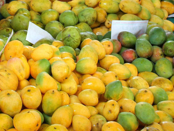 યાર્ડમાં કેરી ઓછી આવી