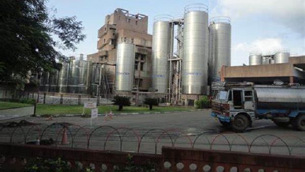 Milk procurement up by 14 percent in Gujarat Milk procurement up by 14 percent in Gujarat