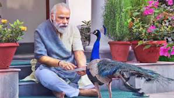 રાહુલે PM મોદીના ઈન્સ્ટાગ્રામ પર શેર કરેલા વીડિયો કર્યો ઉલ્લેખ