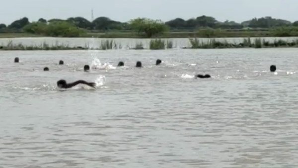 રાજ્ય સરકાર પાસે વળતરની માંગ