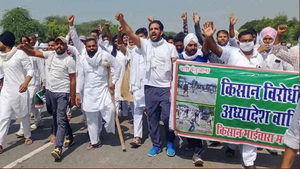 પાક પર ઉપલબ્ધ નથી એમએસપી