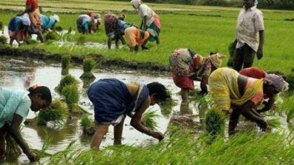 ખેડૂતો માટે વરદાન છે આ બિલઃ કેન્દ્ર સરકાર